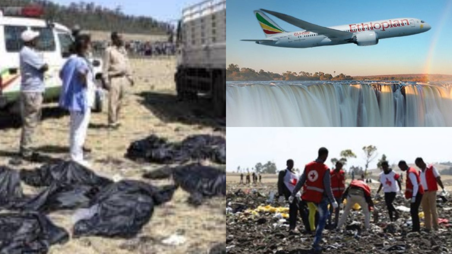 Image result for pilot of ethiopia plane crash